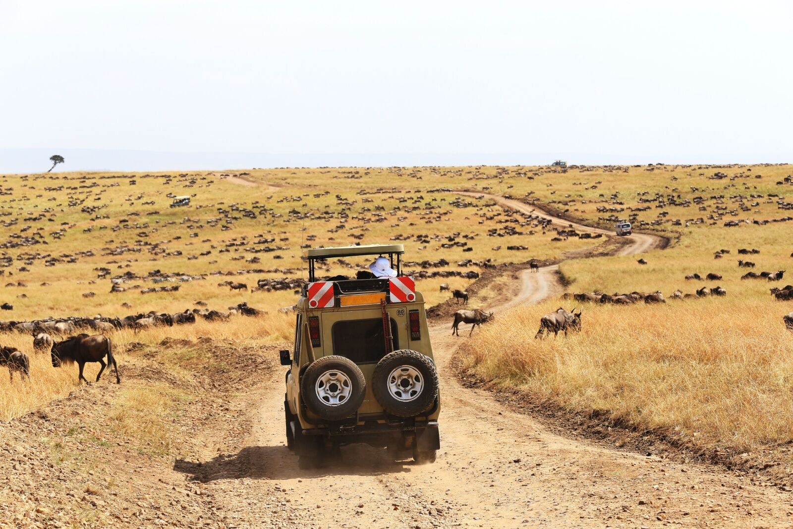 northern-serengeti