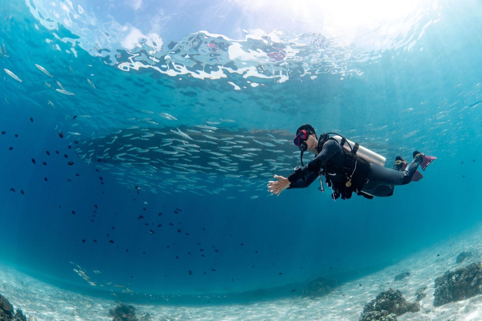scuba-diver-and-fish