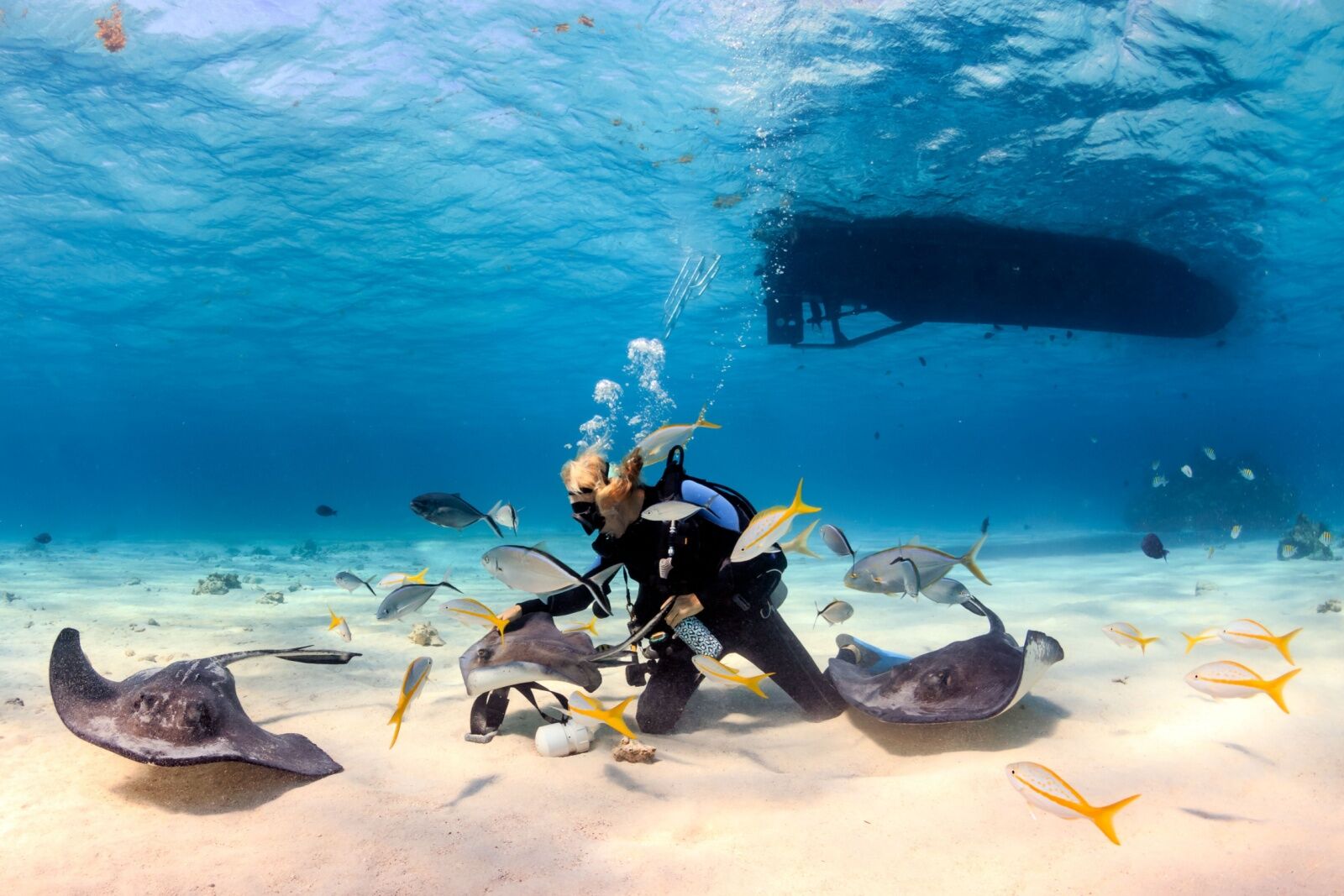 scuba-diver-with-rays