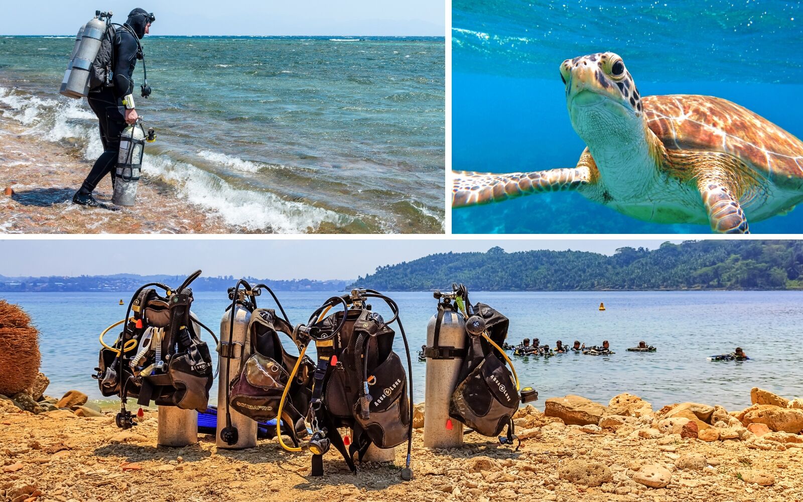 shore-diving-collage