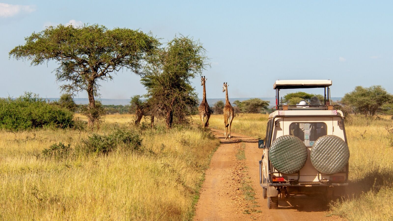 tanzania-giraffe-safari-car