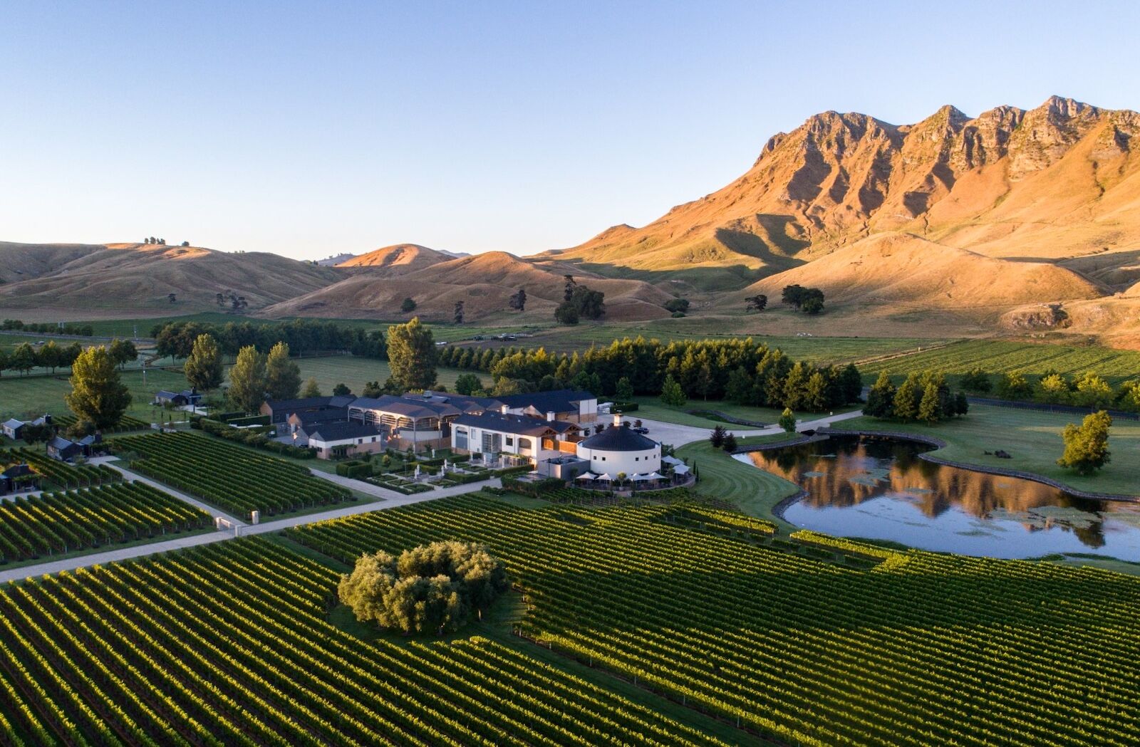 Craggy-Range-Giants-Winery-2