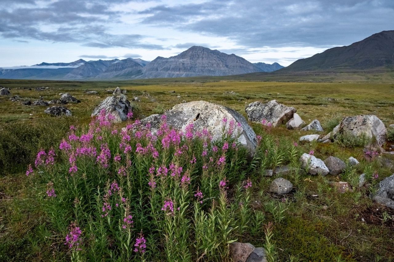 Gates-of-the-Arctic-National-Park-and-Preserve-Least-visited-National-Parks