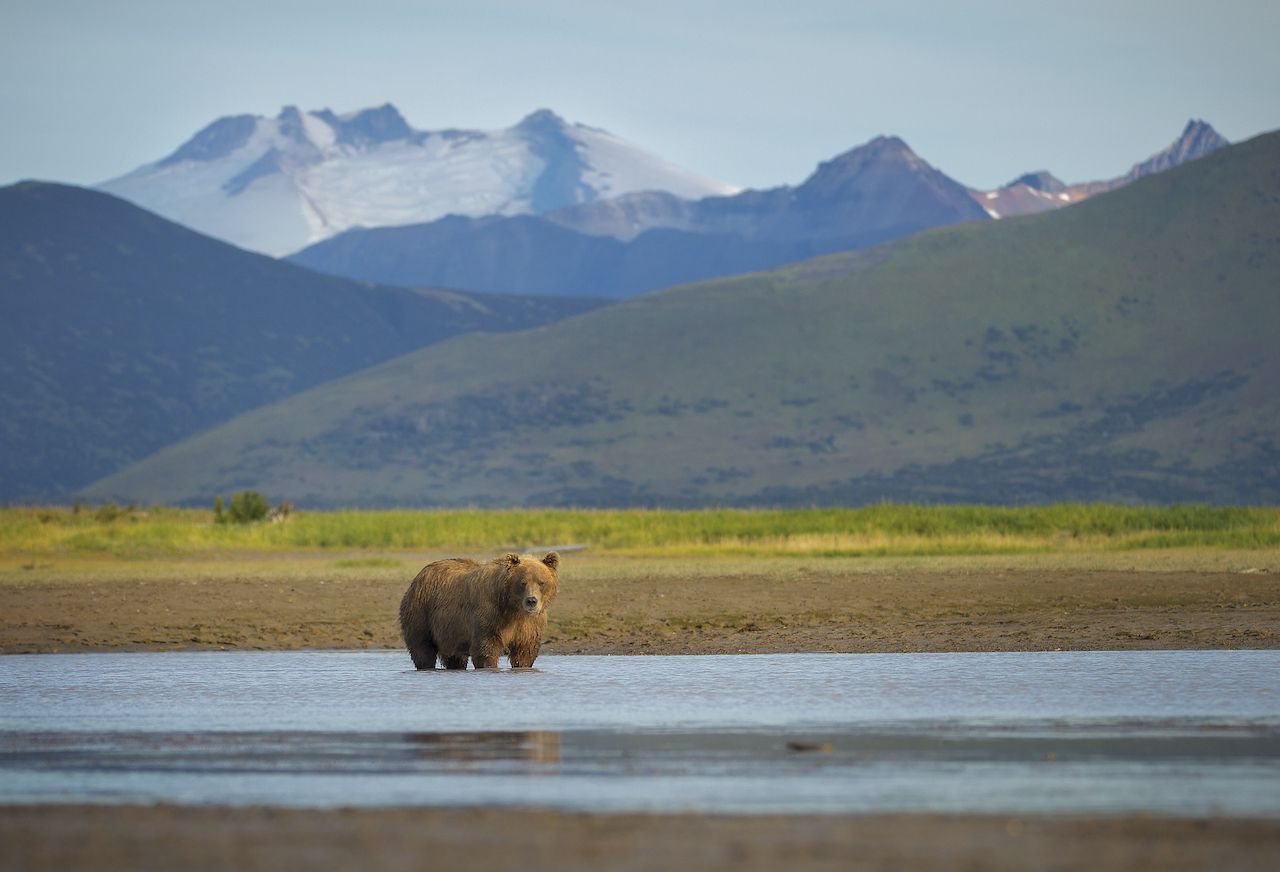 Katmai-National-Park-and-Preserve-least-visited-national-parks-470172362
