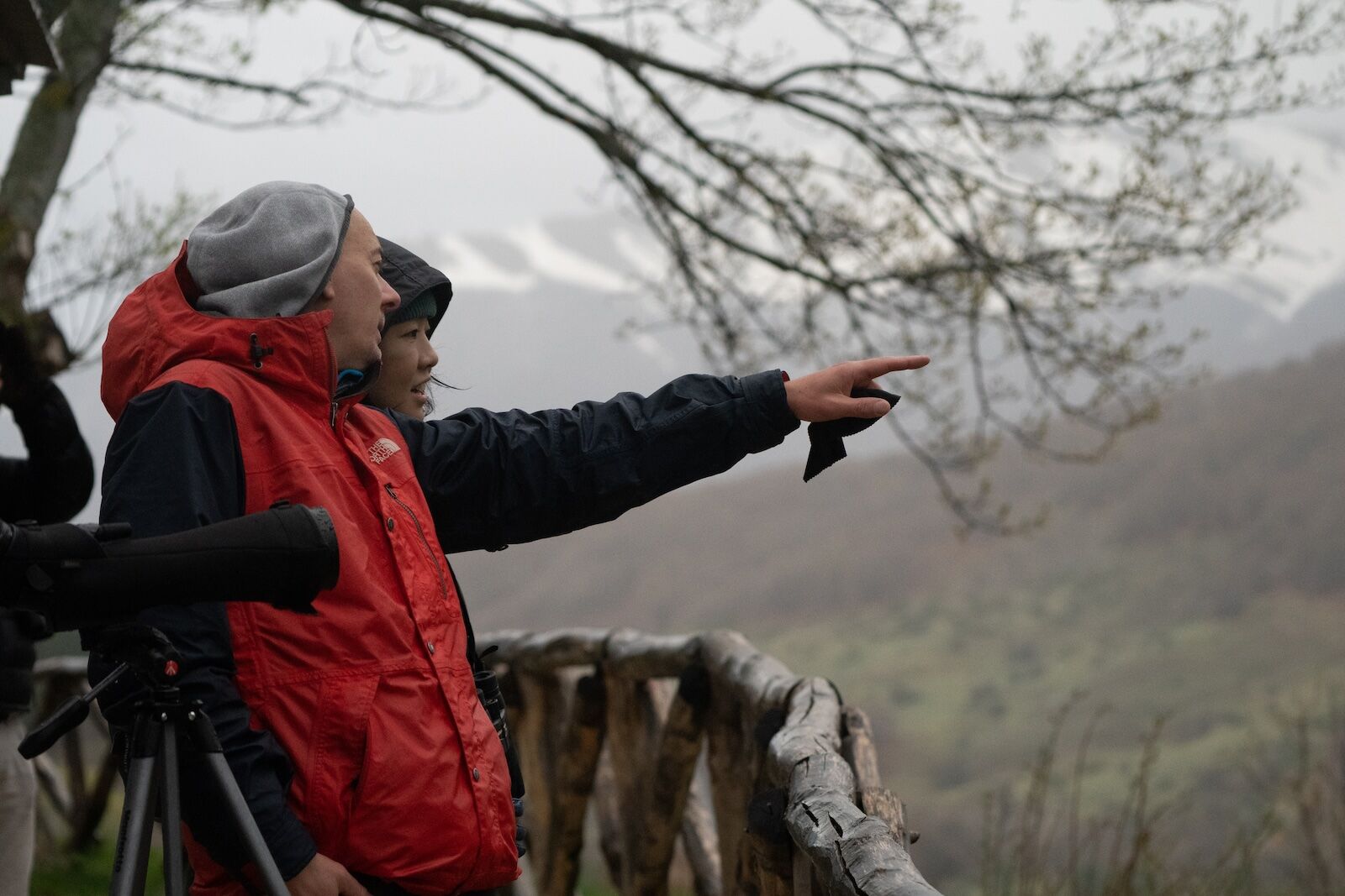 Rewilding-Apennines