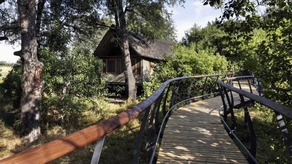 Wilderness-Chitabe-01-1024x576-1 Wilderness-Chitabe-01-1024x576-1