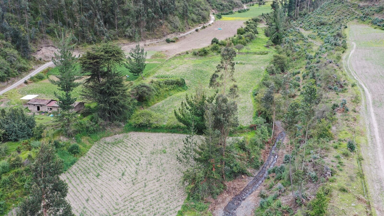 andes-reforesting-2340907757
