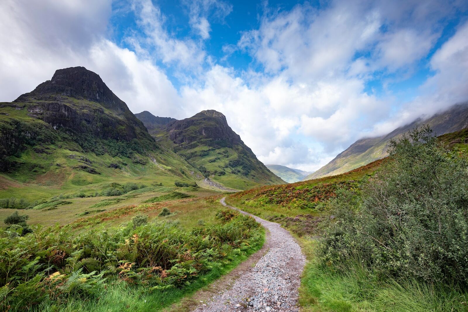 scotland-rewilding-2392218161