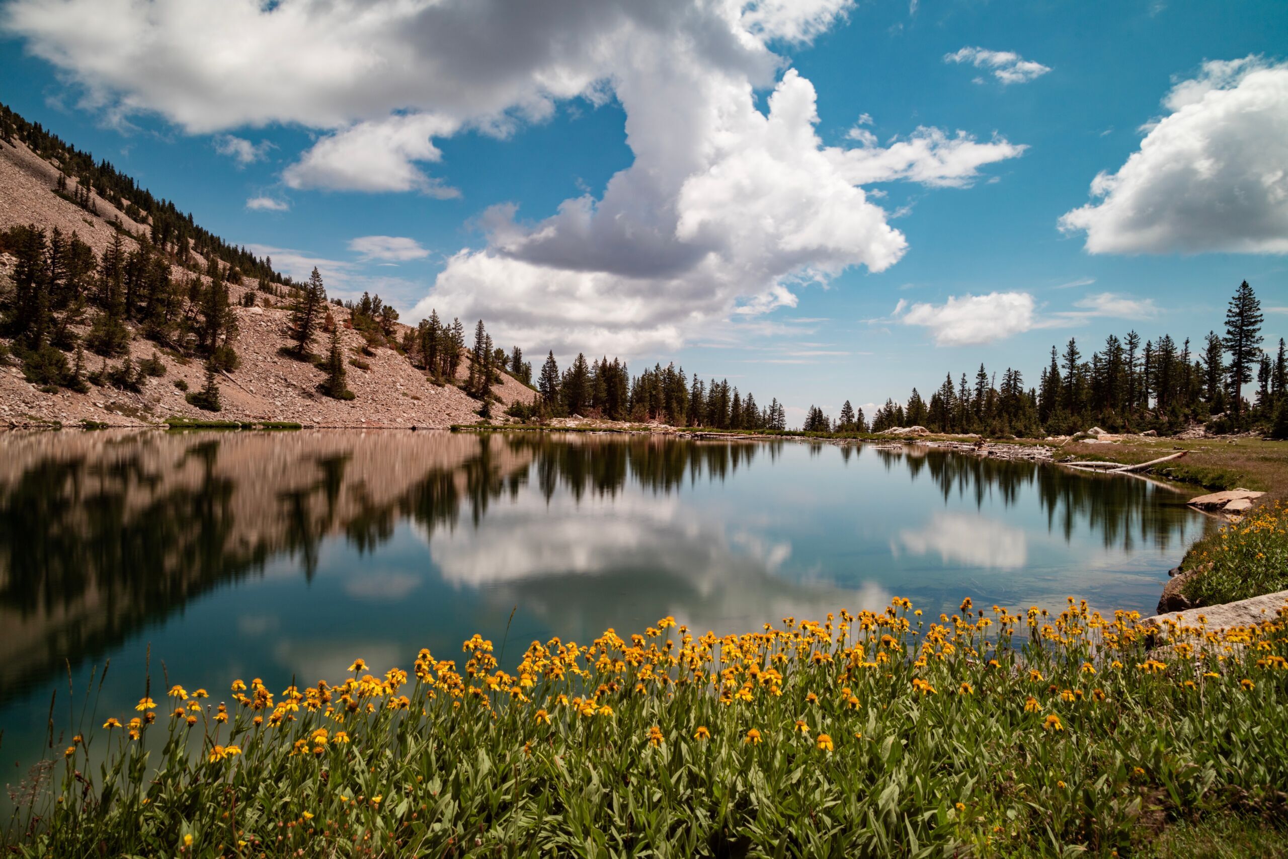 shutterstock_2226323625-scaled-1