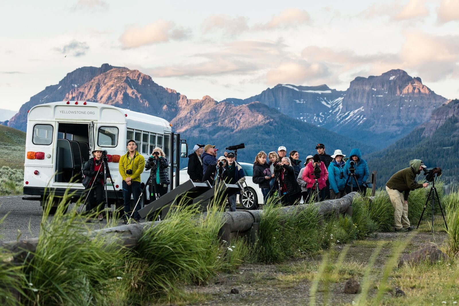 wildlife-watching-lamar-valley