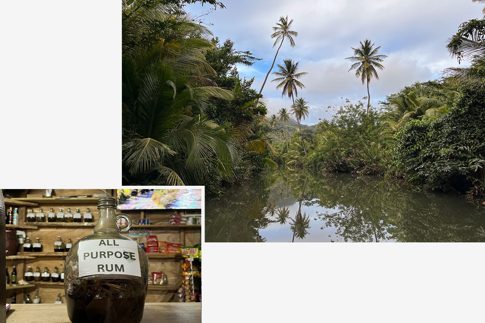 Bush-Rum-Dominica
