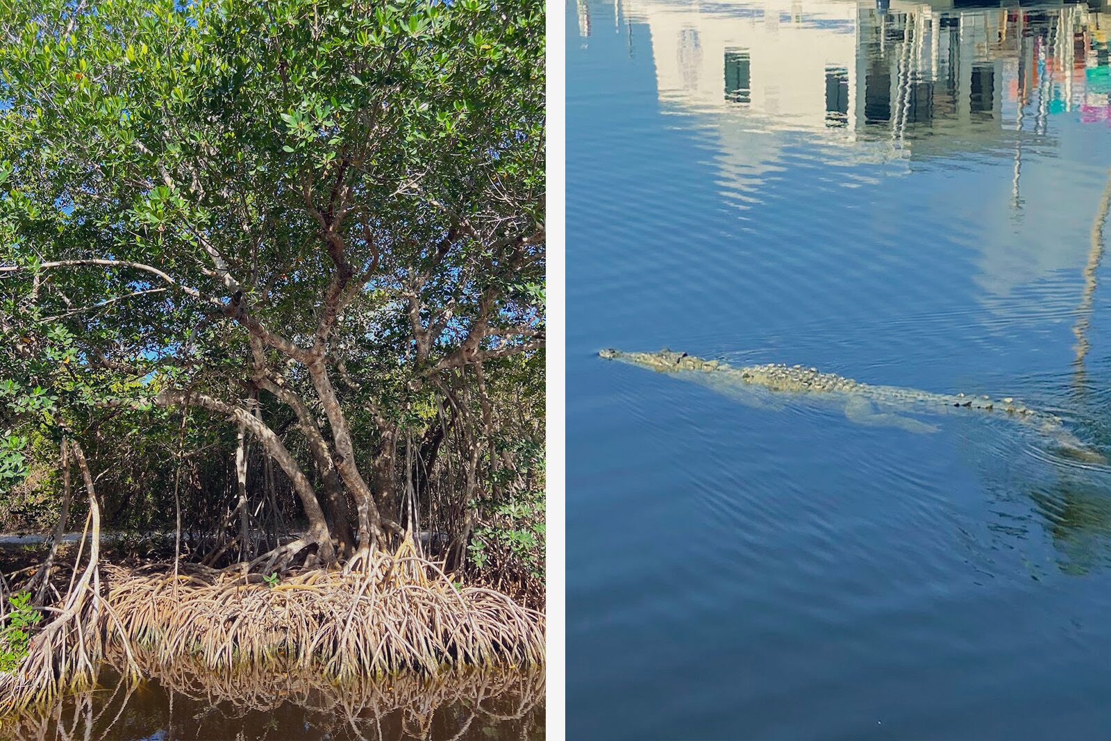 Flamingo-Lodge-activities-1