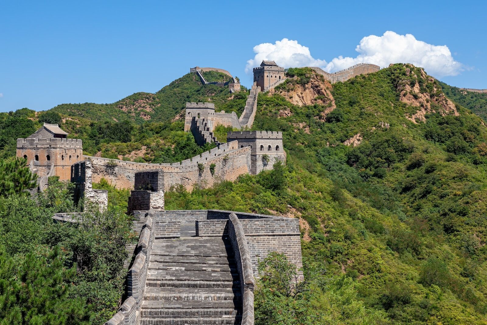 jinsaling-china