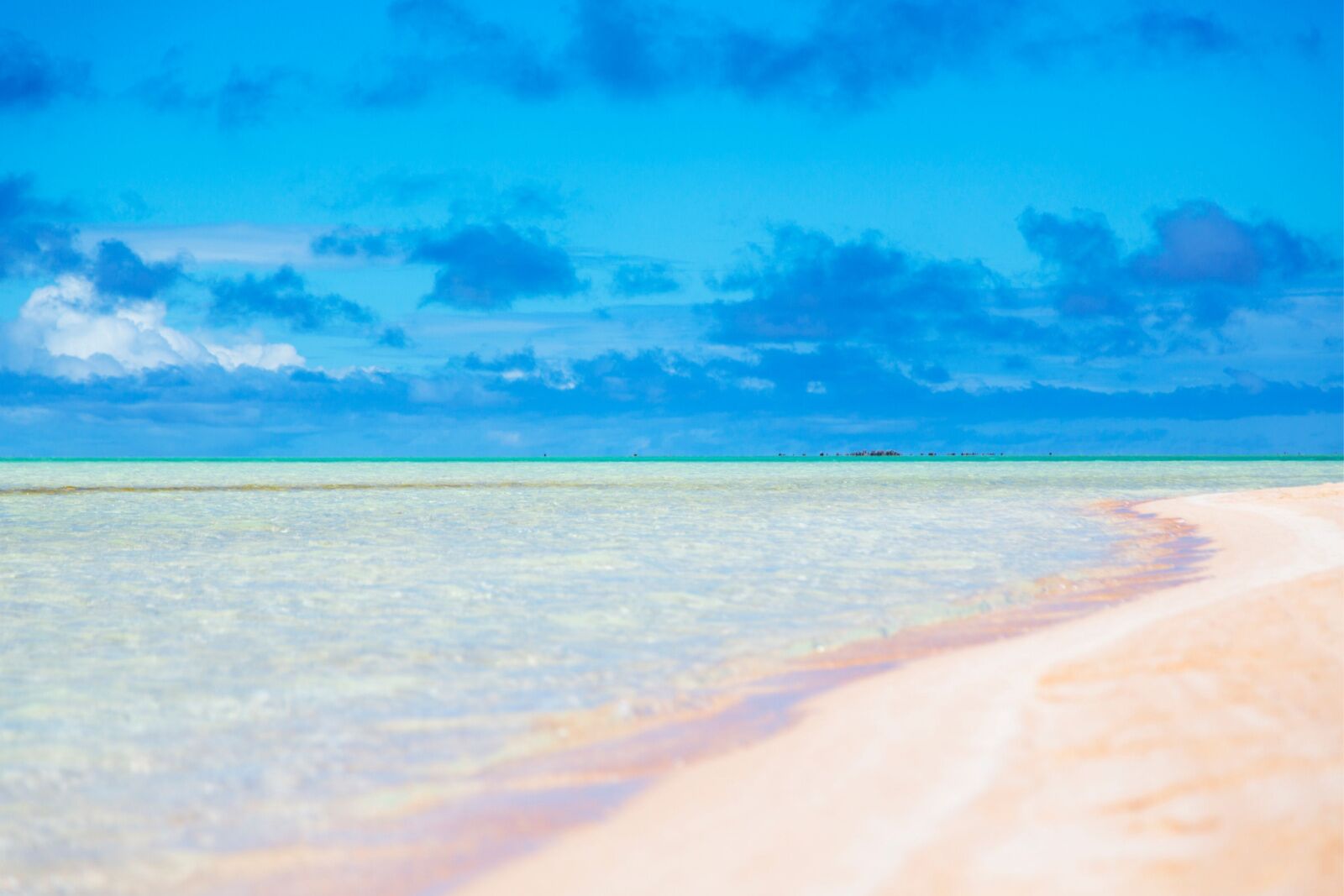 rangiroa-pink-sand-beach