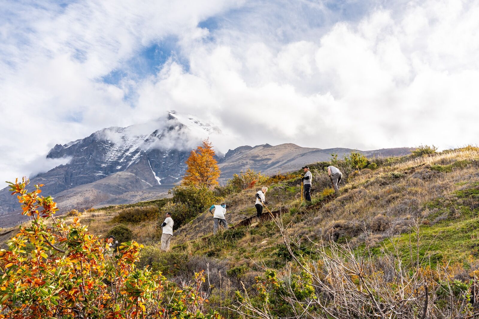 las-torres-voluntourism-lead