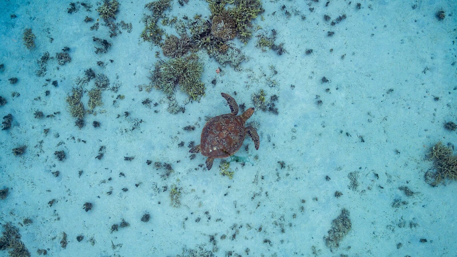 shutterstock_1208811958 shutterstock_1208811958