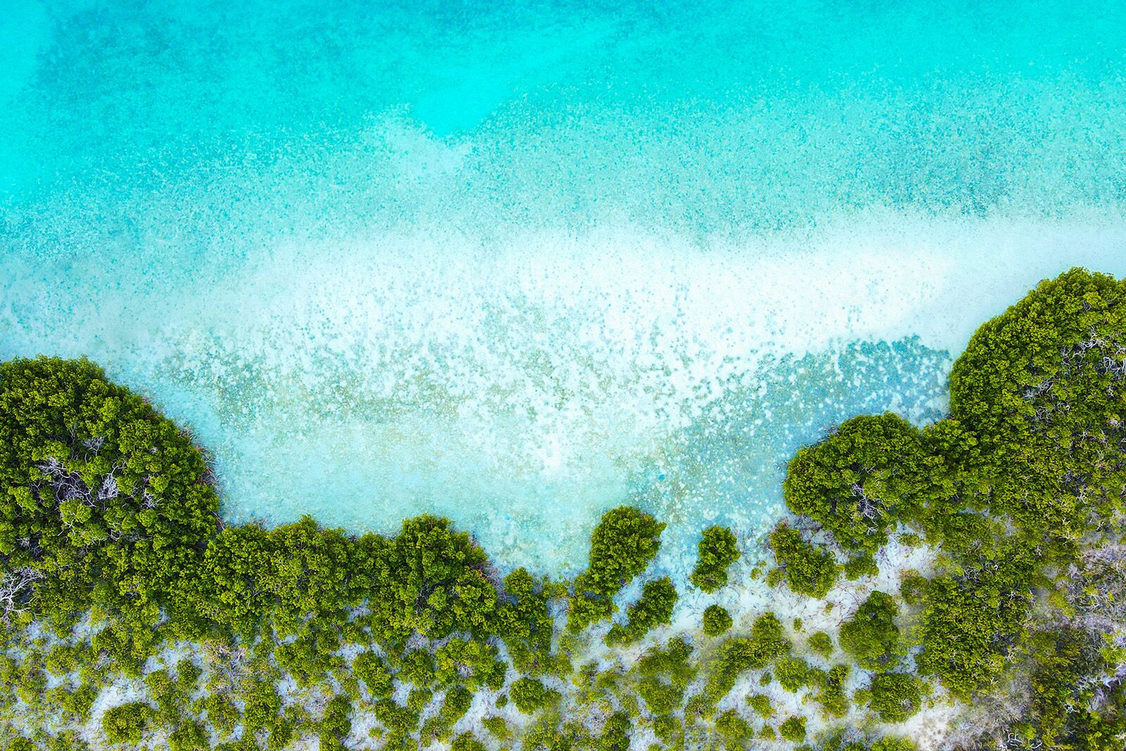 shutterstock_2439891551