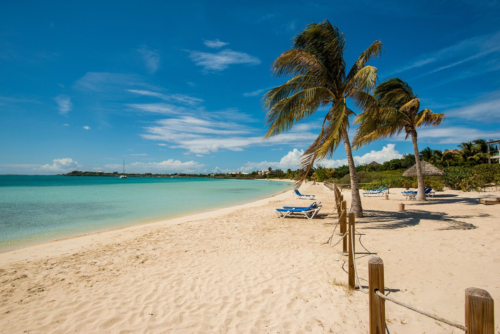 shutterstock_2444712527