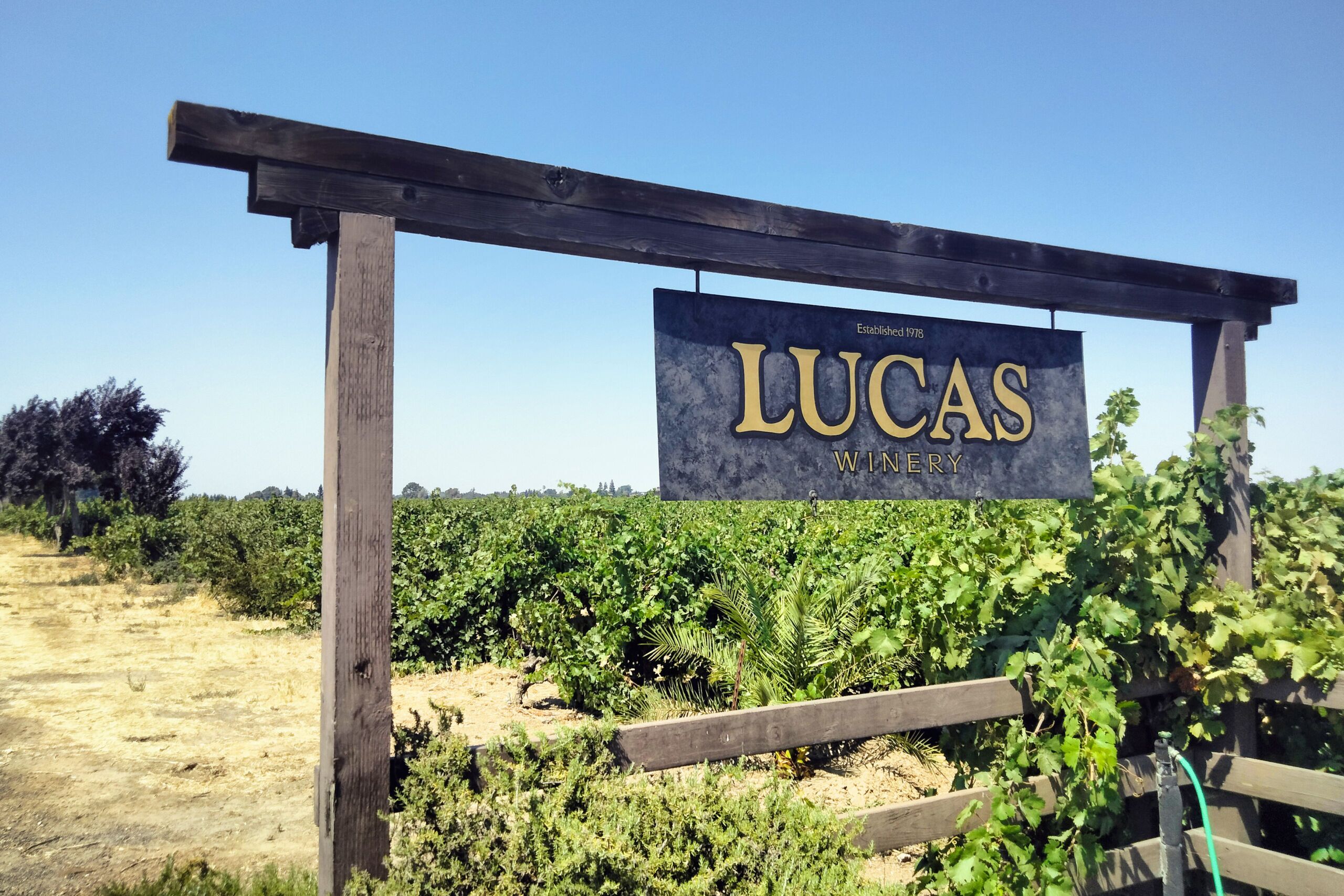 Lucas-sign-scaled-1