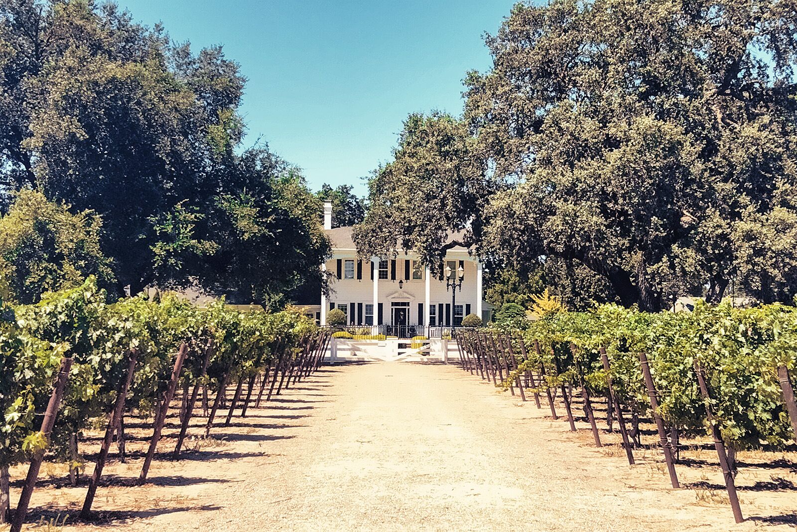 Oak-Farm
