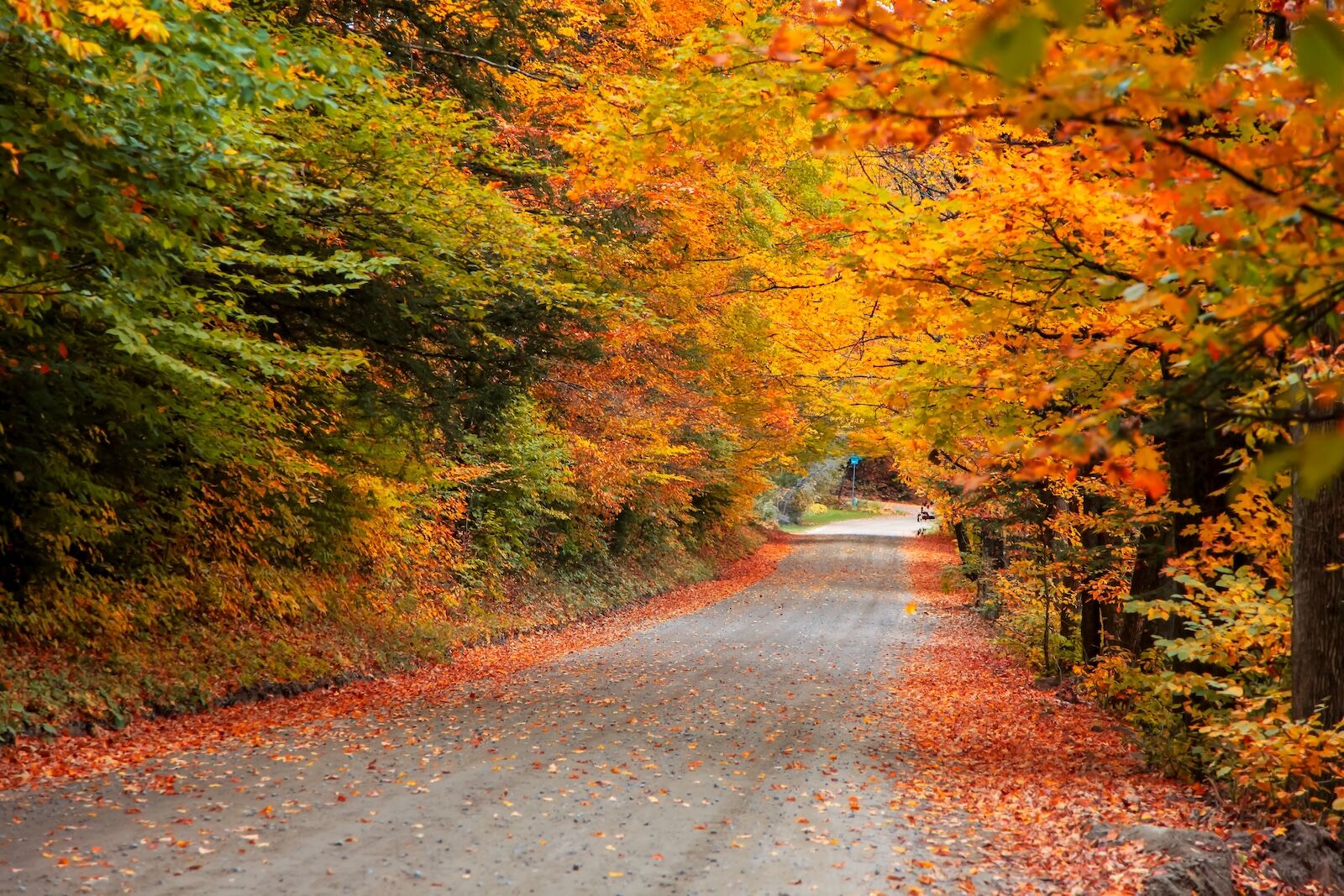 fall-color-science