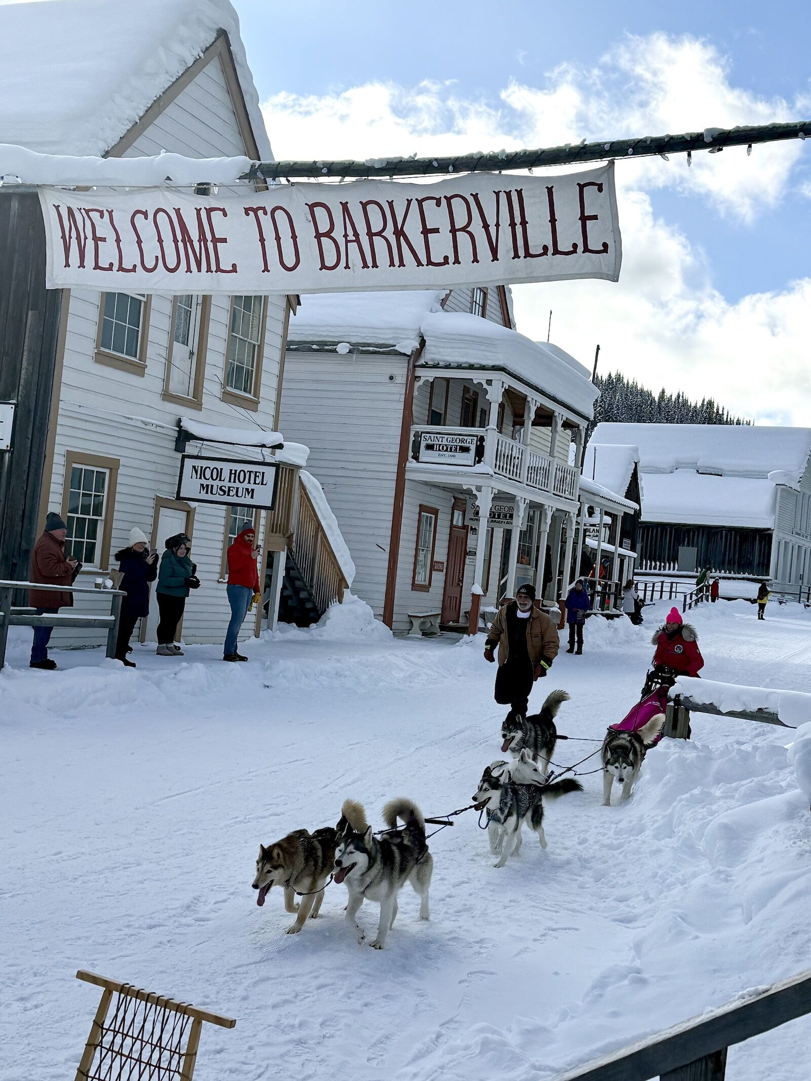 dogsled-barkerville dogsled-barkerville