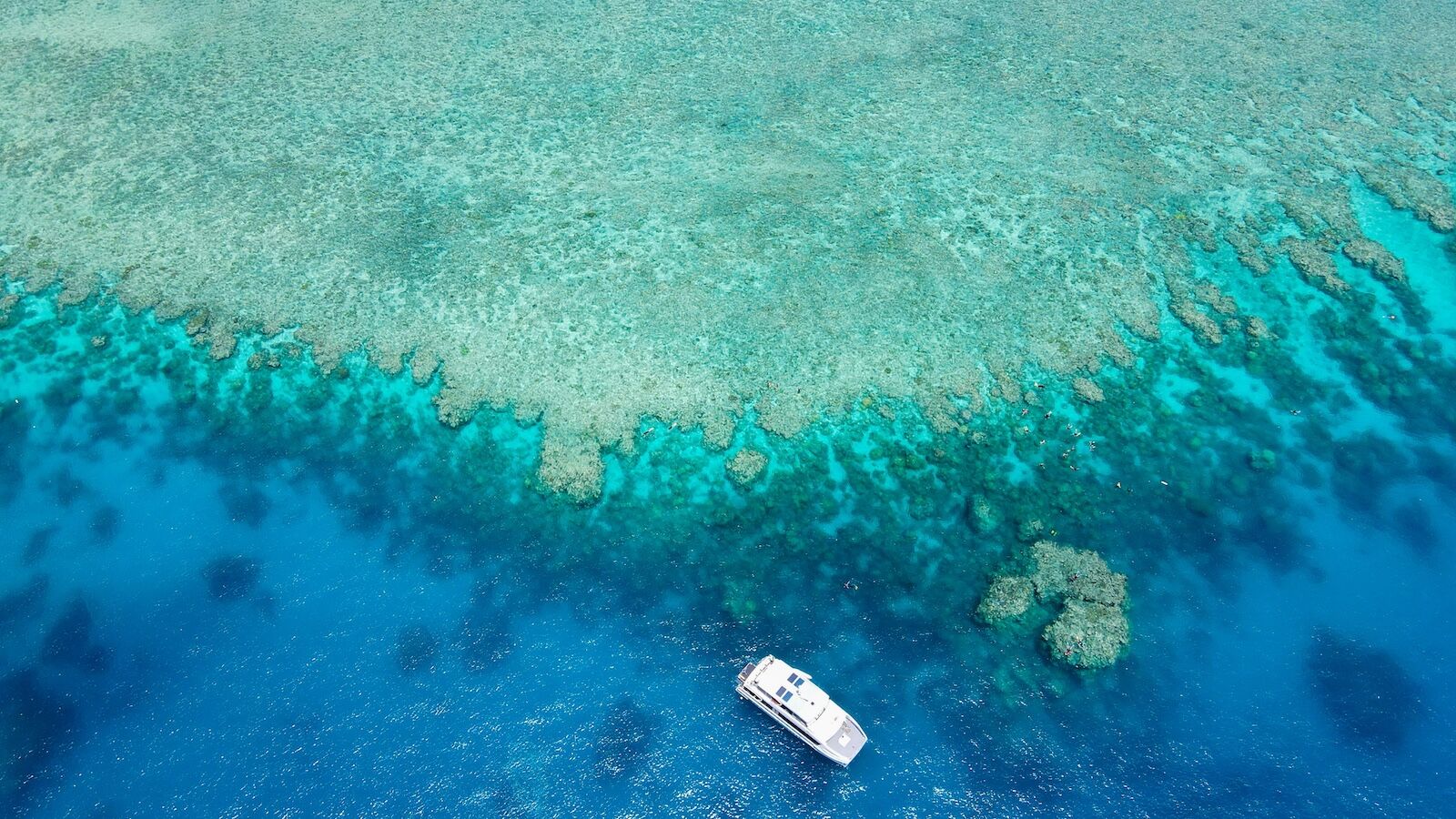 reefsleep-2502573843