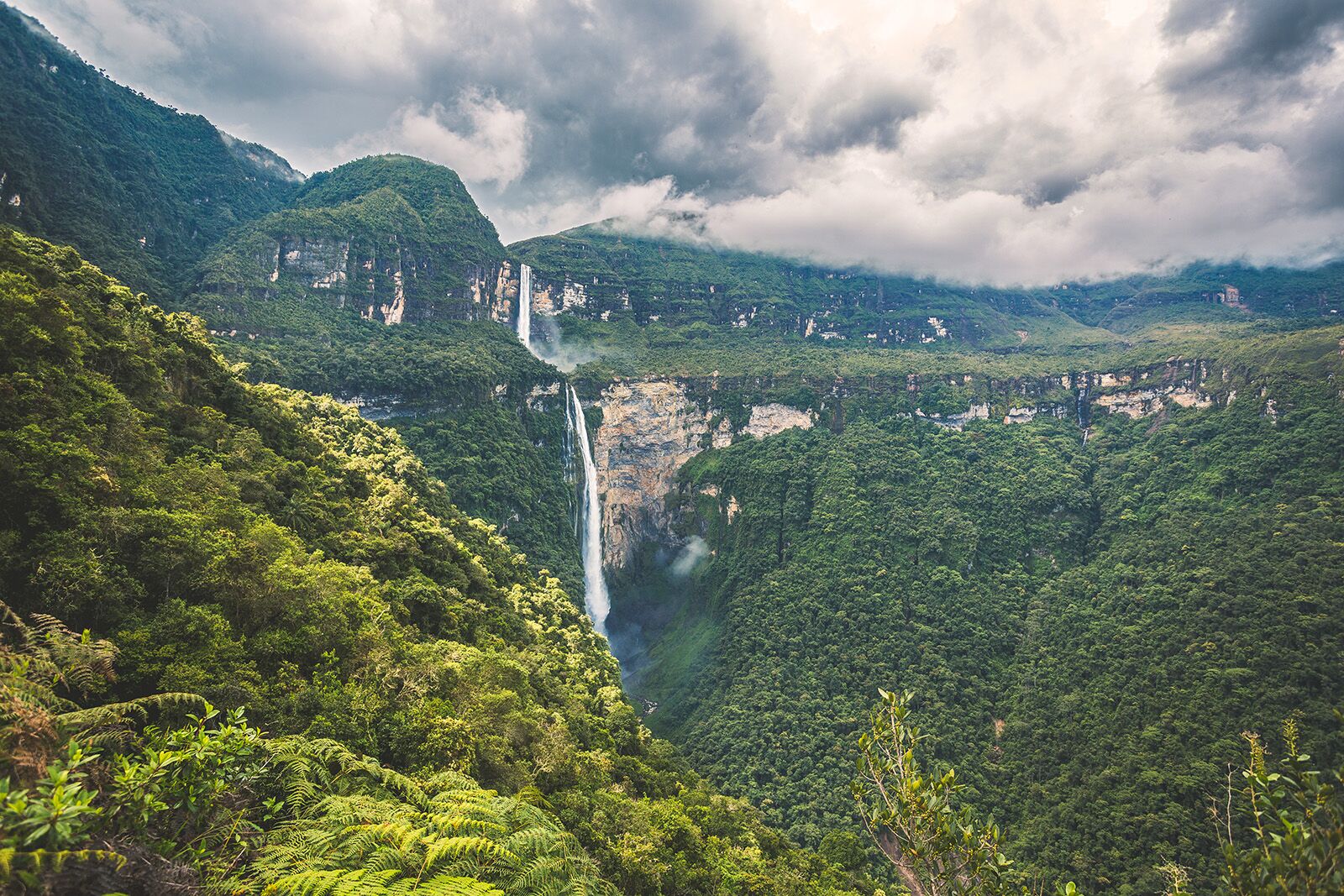 ET_Peru2022_Amazonas_LucaszLarssonWarzecha