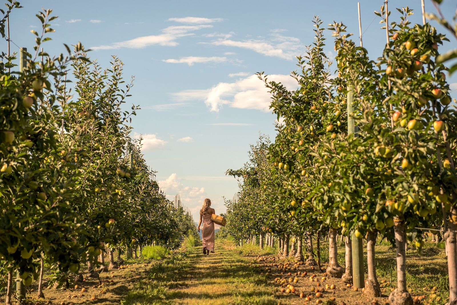 25120_PowerPoint-2400px 25120_PowerPoint-2400px