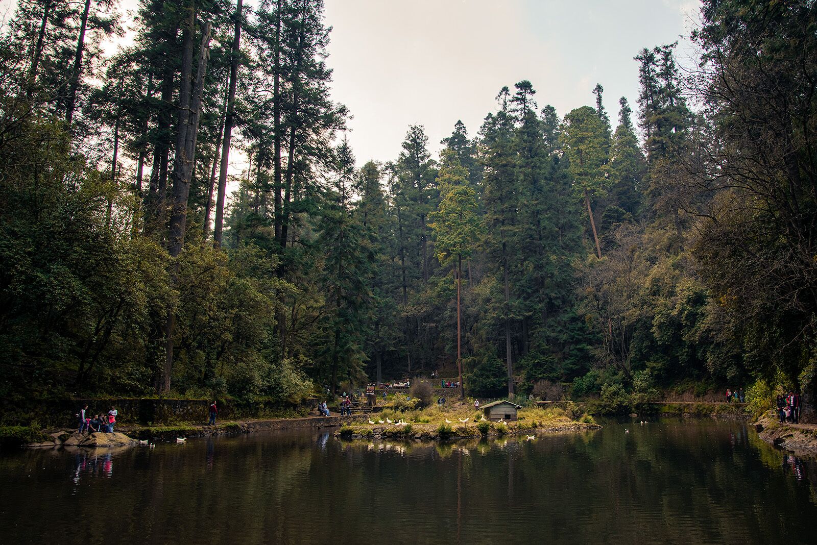 DSC_1916-Desierto-de-los-Leones