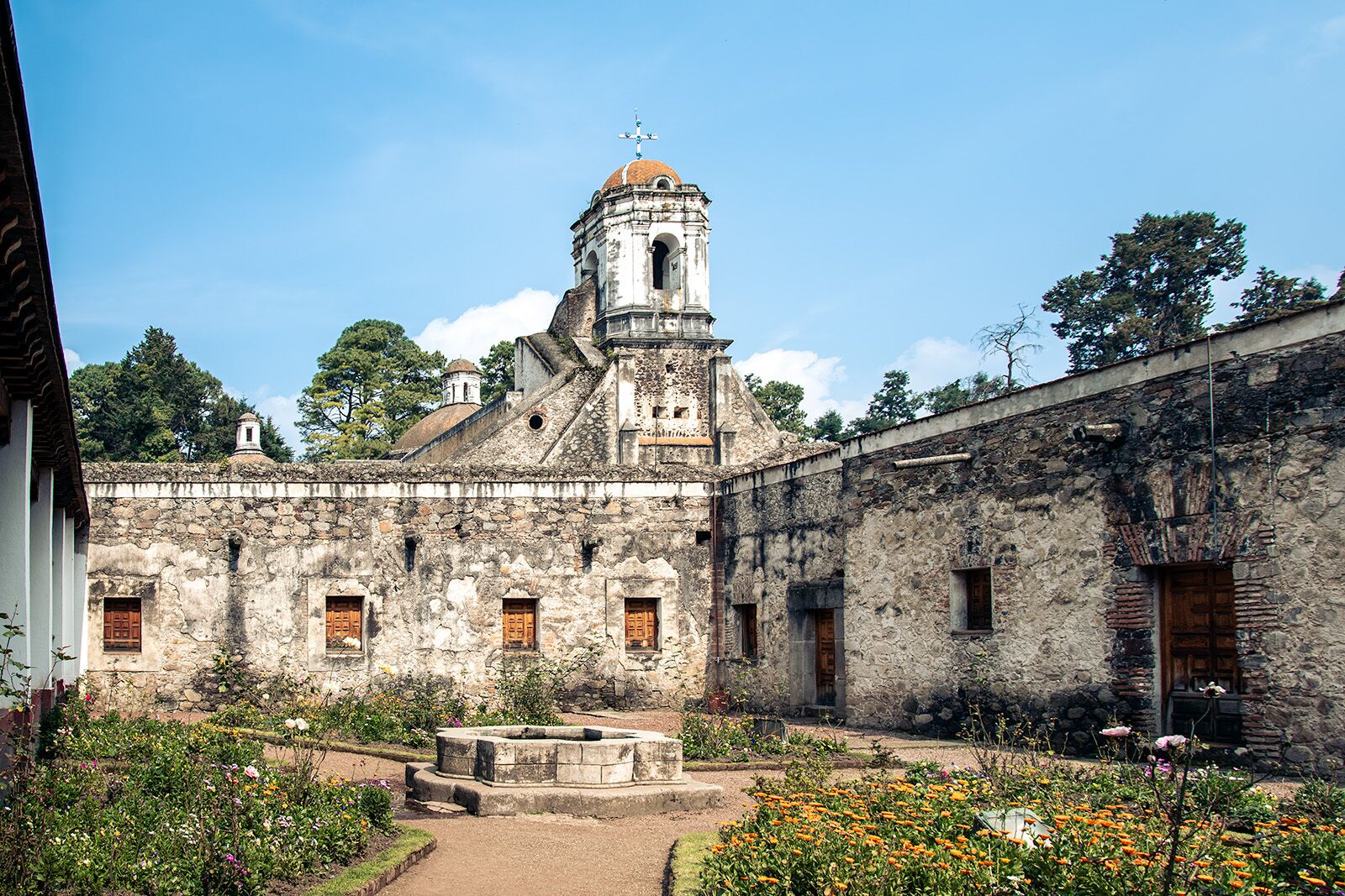 DSC_1946-Desierto-de-los-Leones