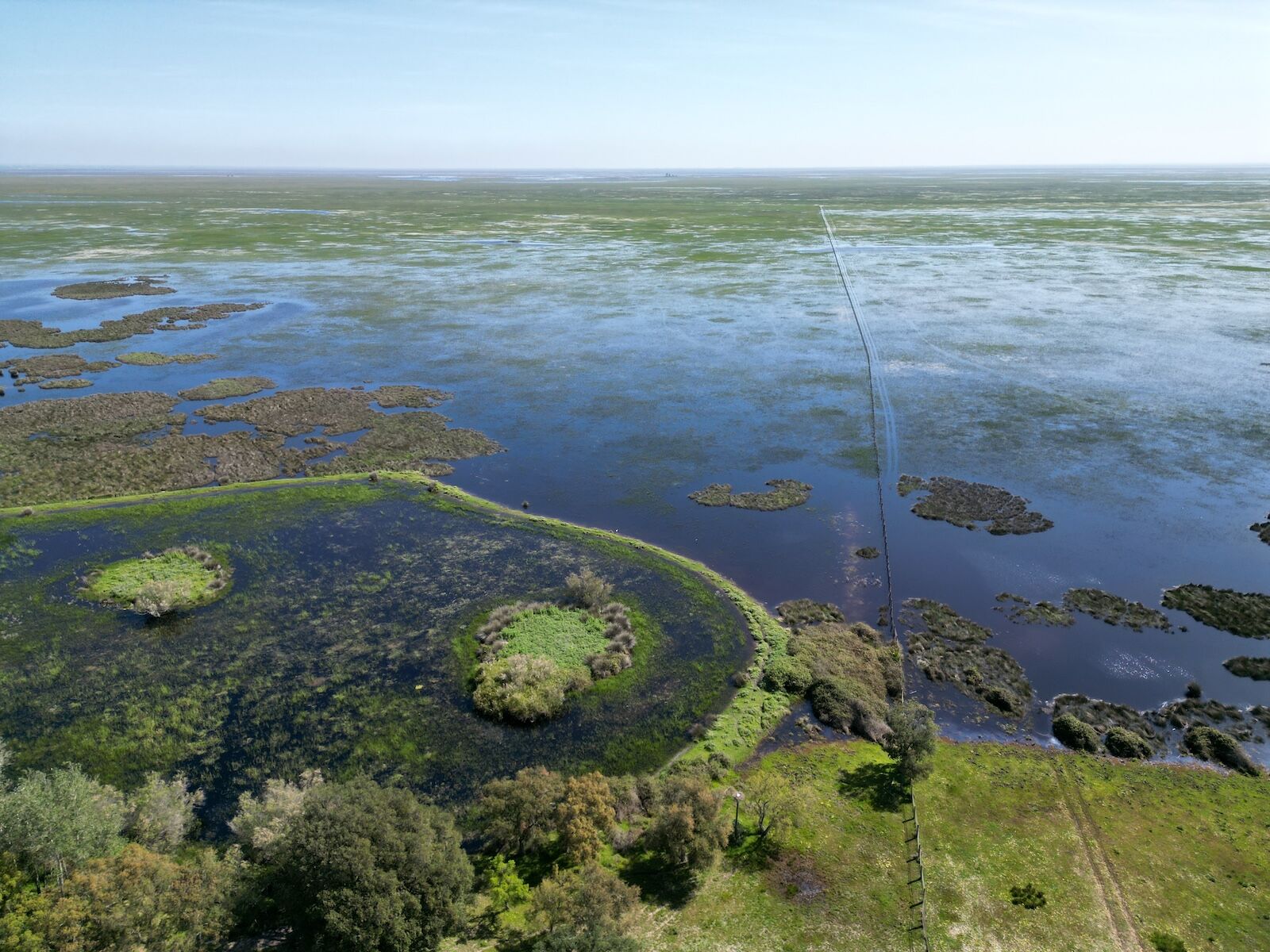 Vista-de-la-marisma-desde-el-lucio-del-Palacio.-7-de-abril-de-2025