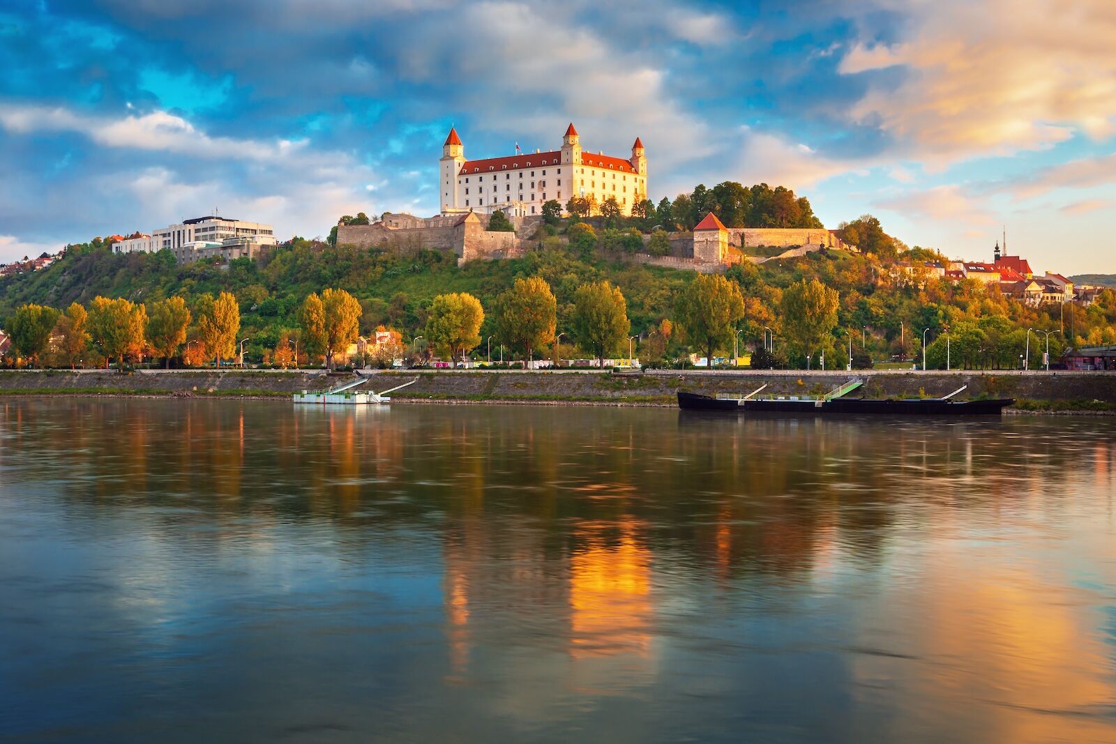 shutterstock_1445147189