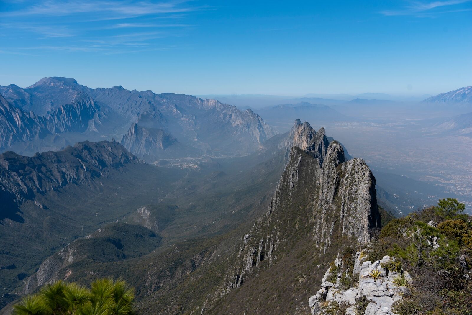 shutterstock_2069084003 shutterstock_2069084003