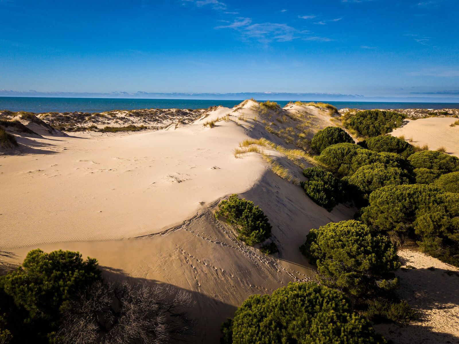 shutterstock_2143606497