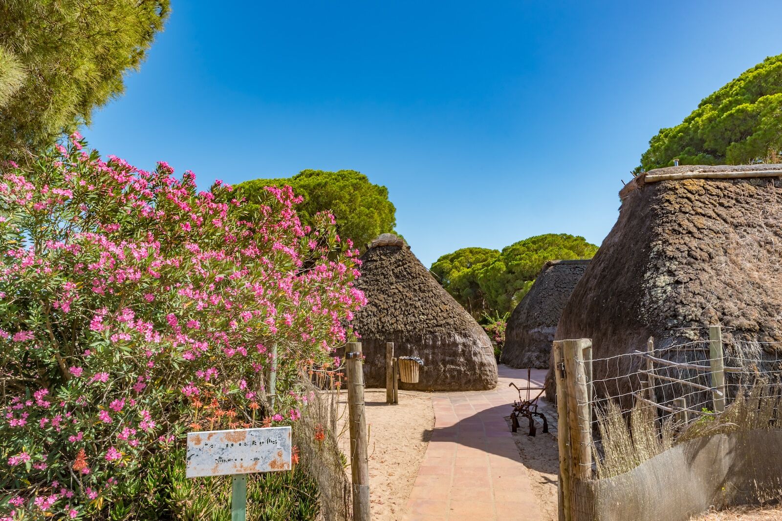 shutterstock_506586523