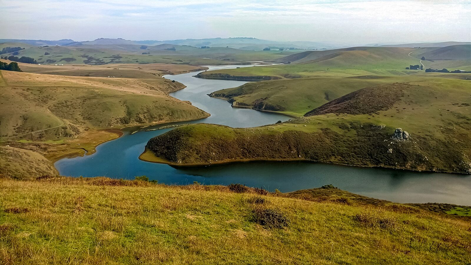 EsteroAmericano-JohnTrammell-no-haze