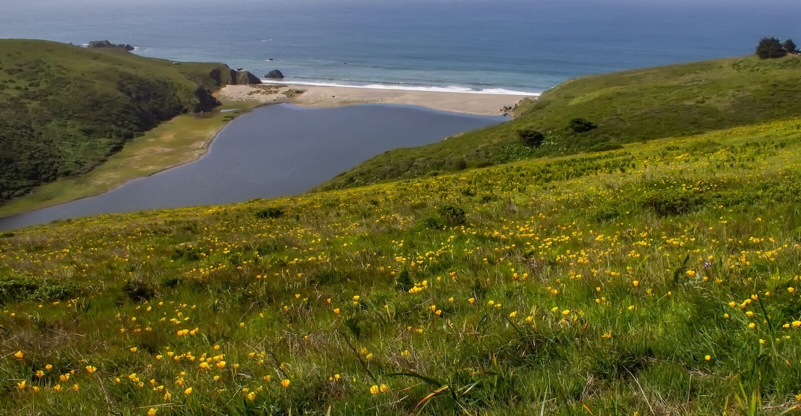 EsteroAmericanoCoast_TimHaywood_2021-1