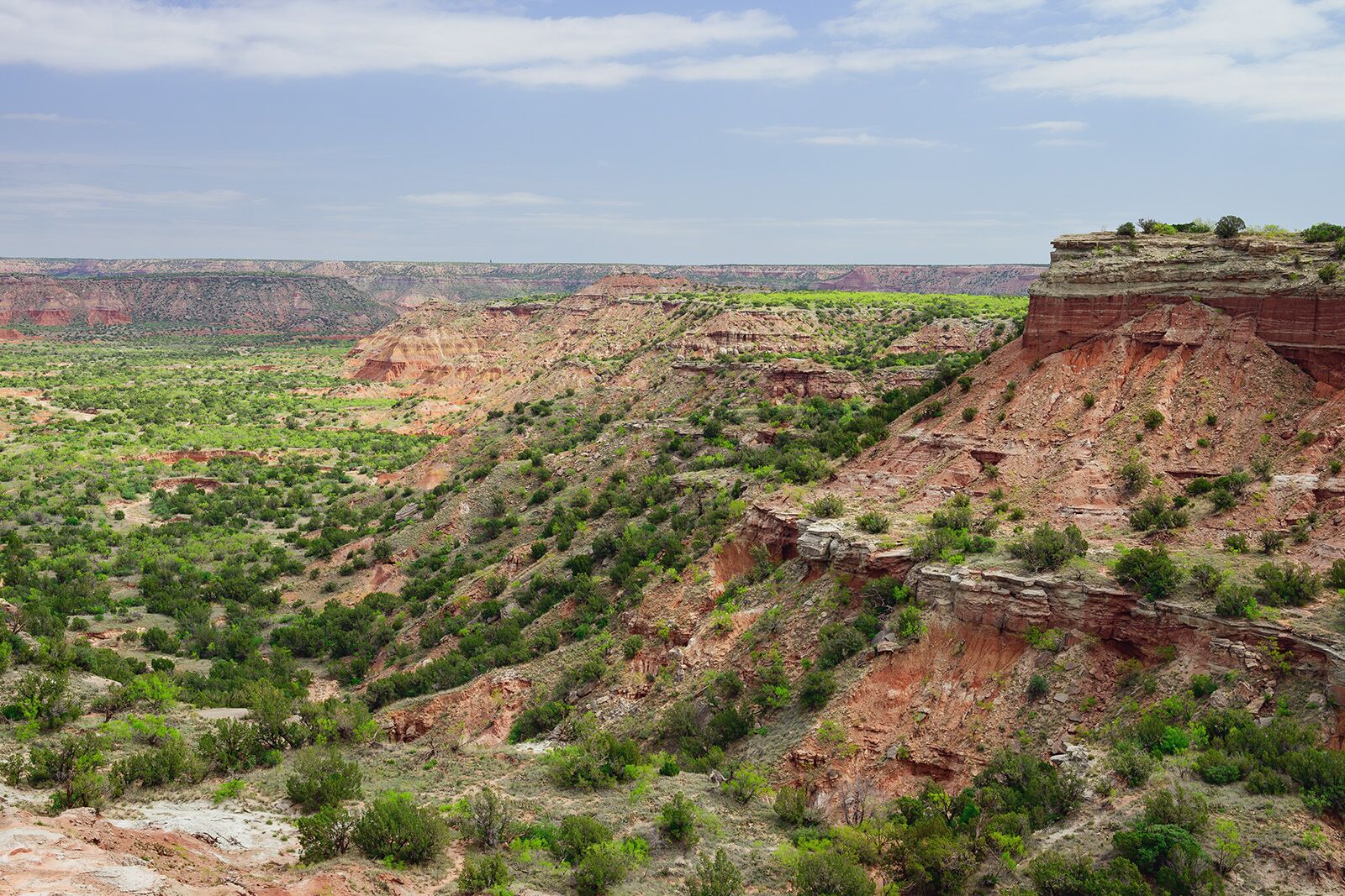 shutterstock_2643673255