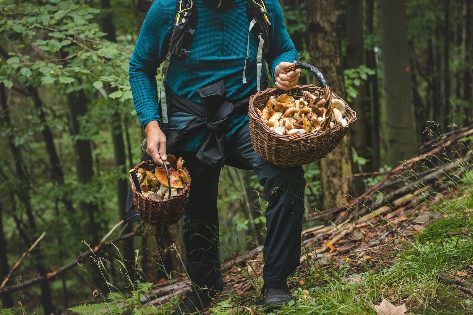 shutterstock_2203722997