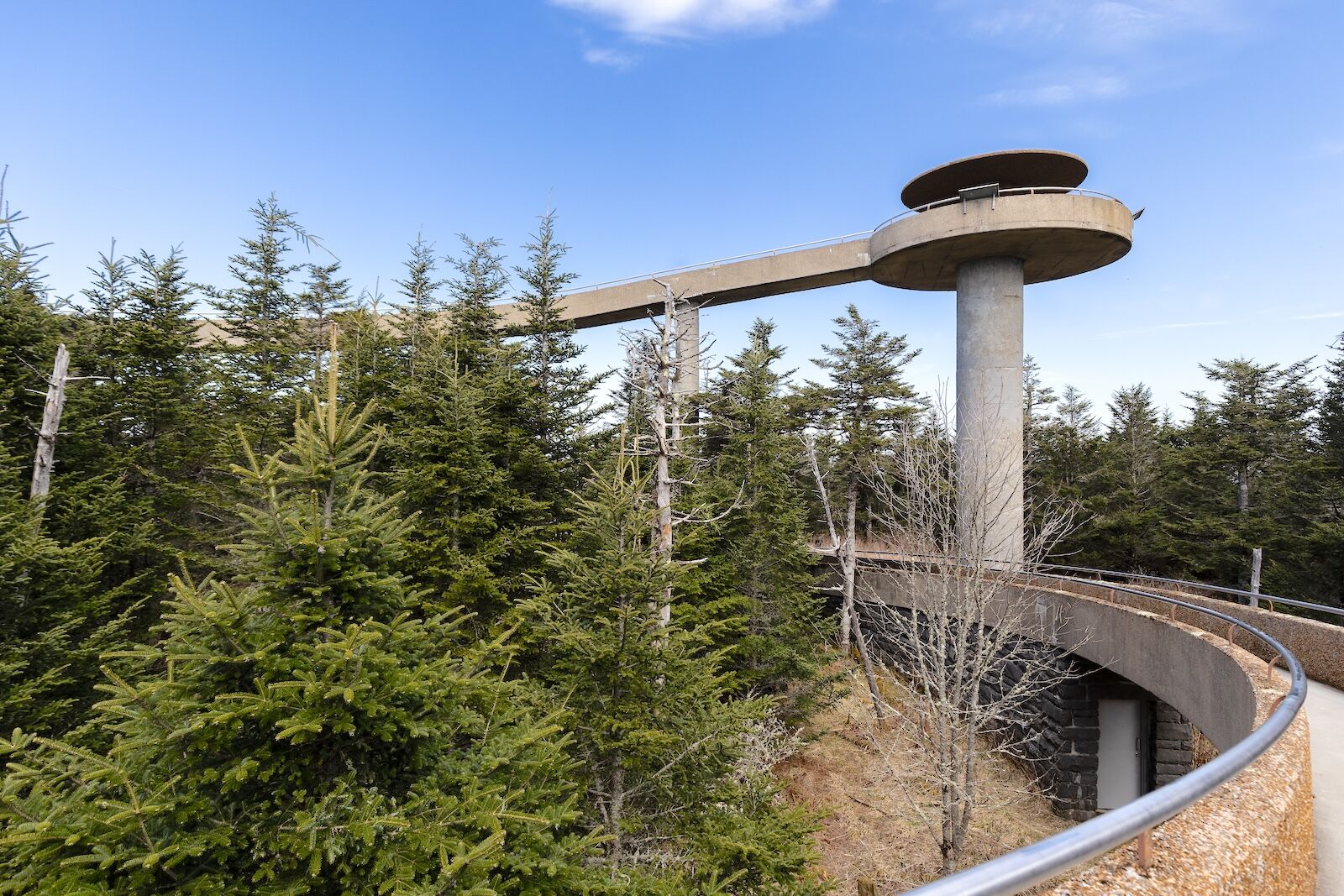 shutterstock_2452264919