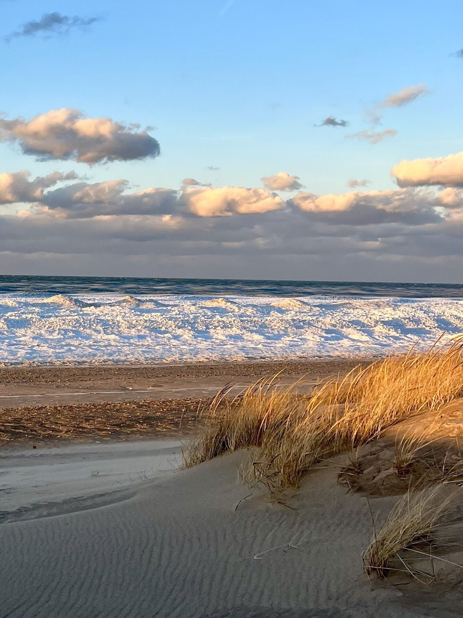 344eba69-383a-4c94-ad21-31486d2e44f0Original