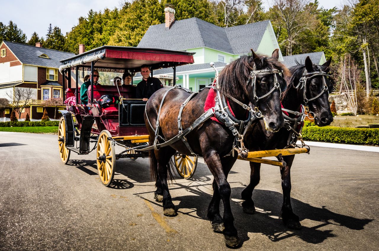 Horse-drawn-carriage-on-norther-Michigan-island