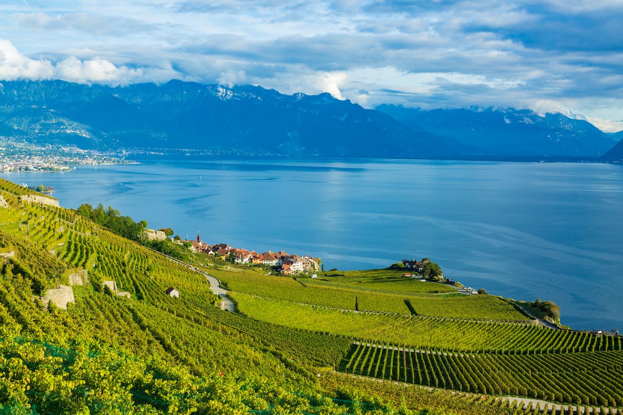 Switzerland-road-trip-Vineyard-Terraces-Lavaux-2