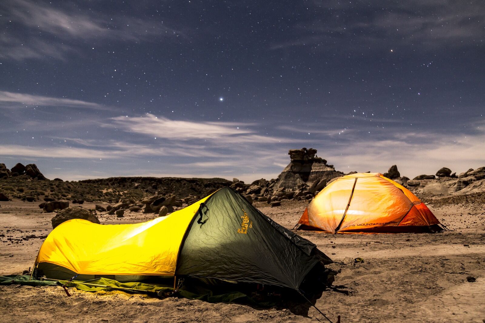 petfiefi-forest-camp