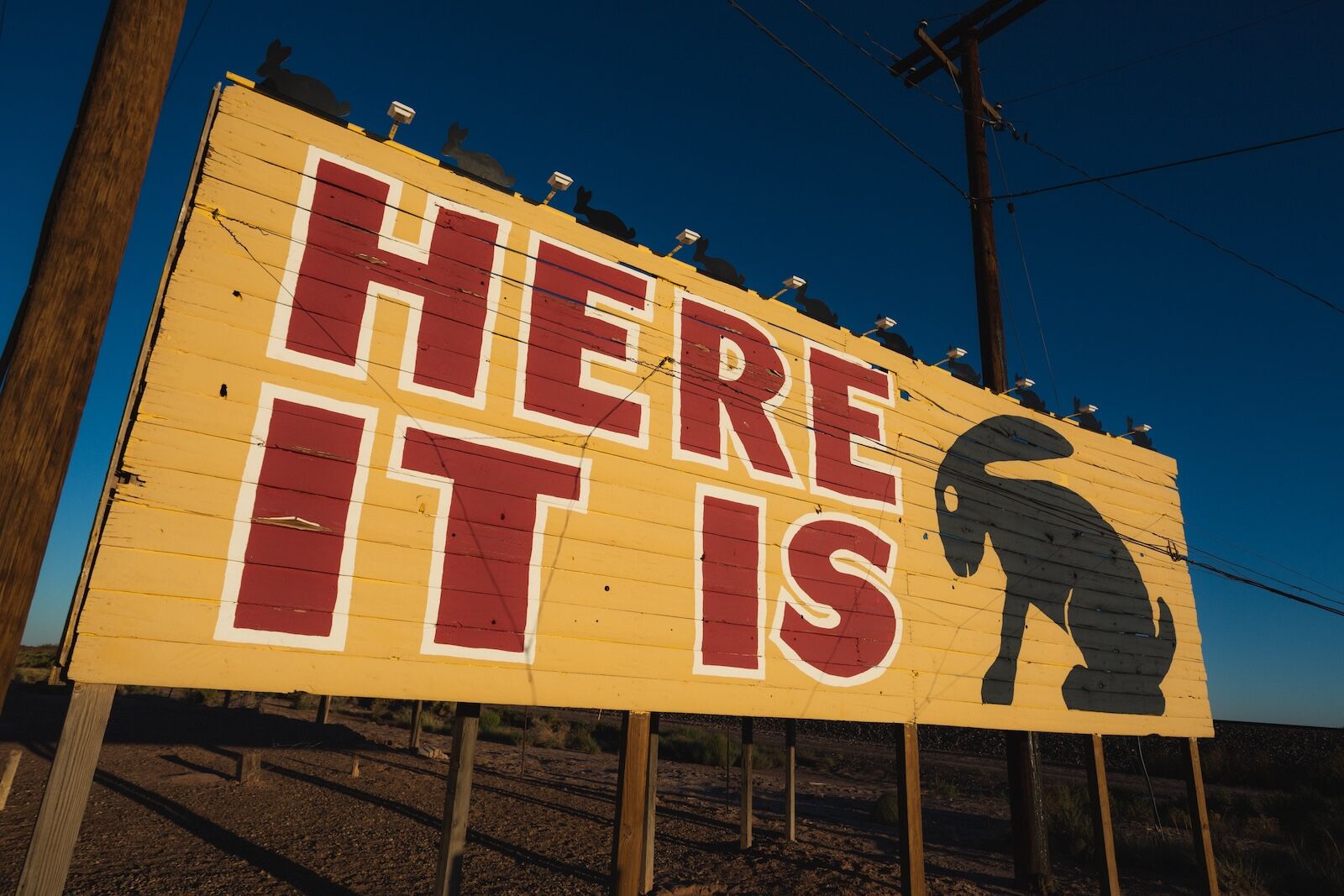 shutterstock_2237862615