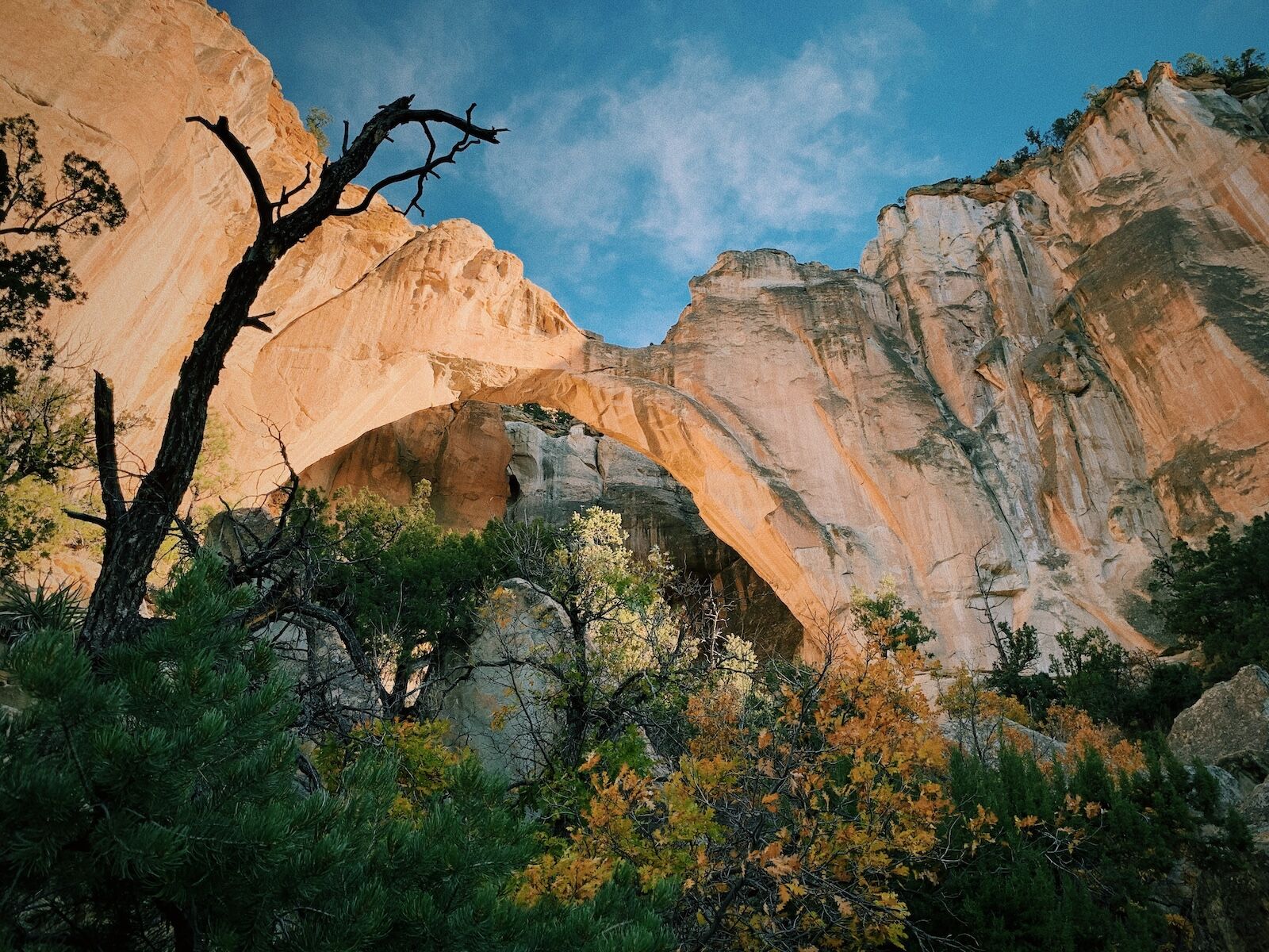 shutterstock_2259664637