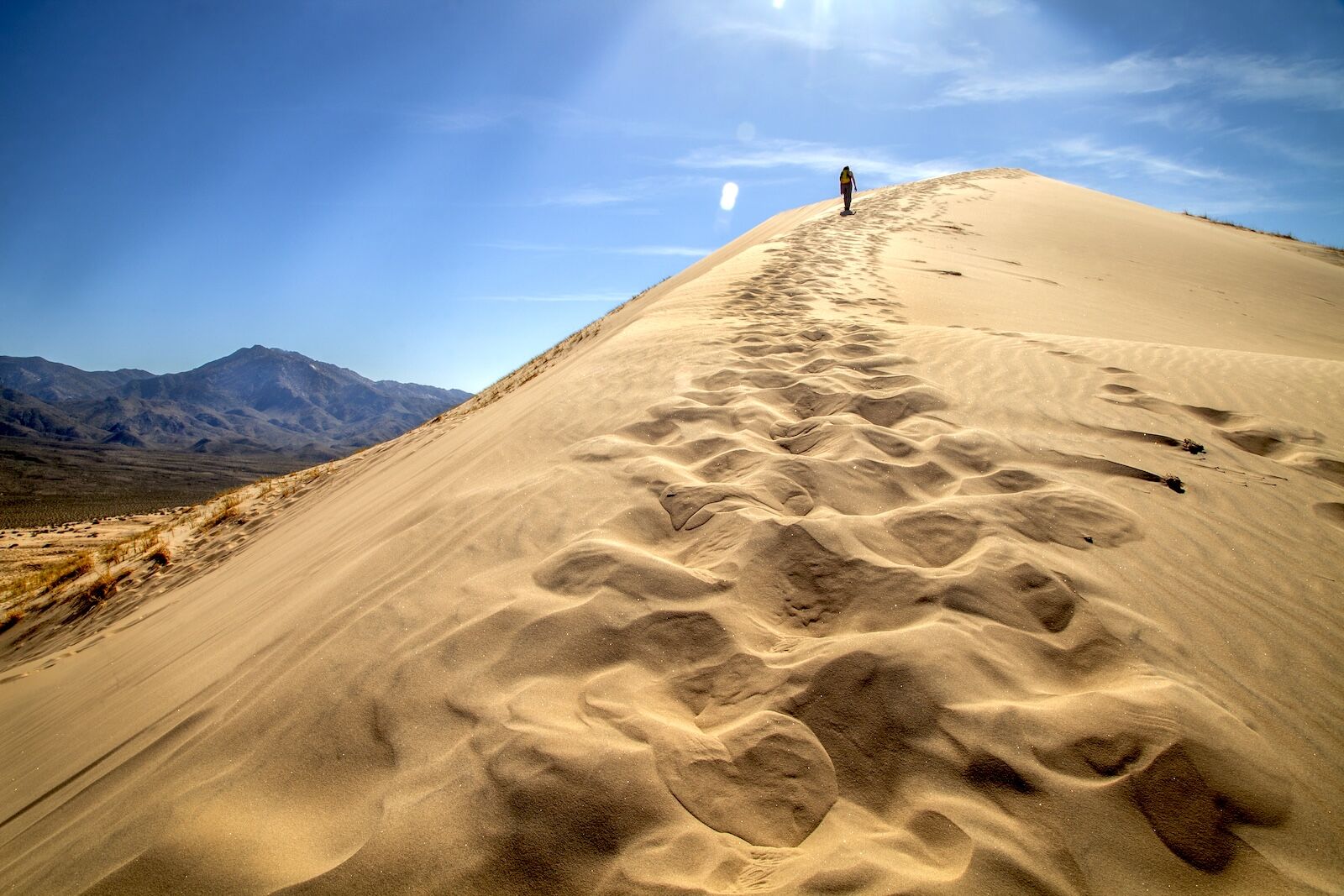 shutterstock_597683804