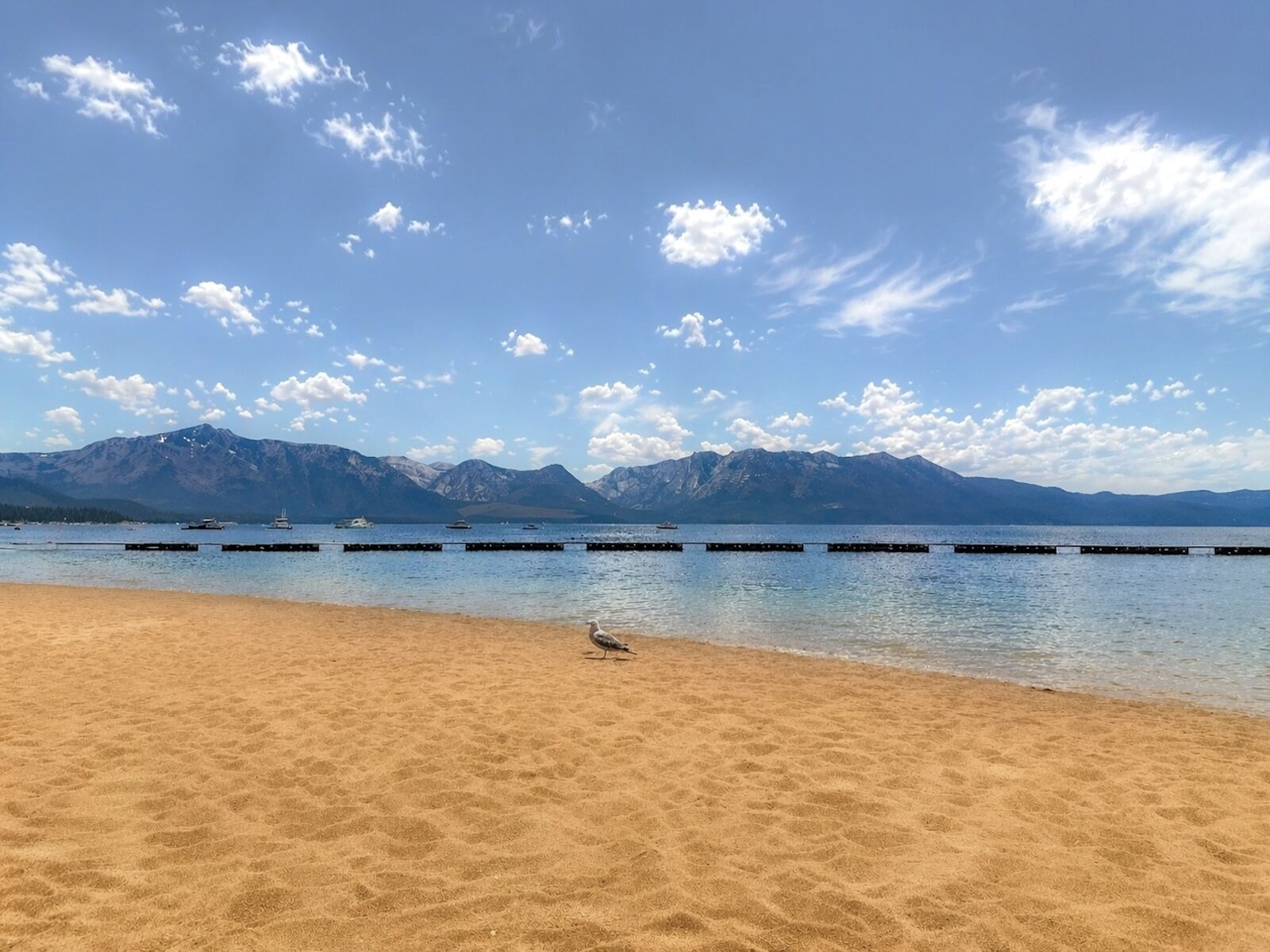 tahoe-beach-empty
