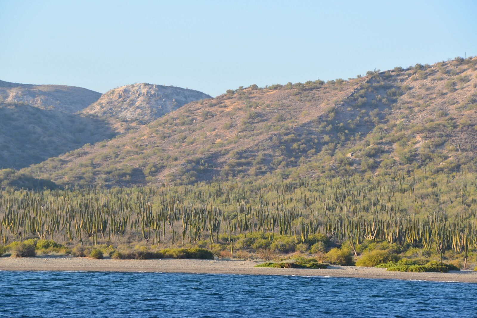 Baja-Whale-Watching-National-Geographic-Lindblad-Expeditions-Punta-Colorada
